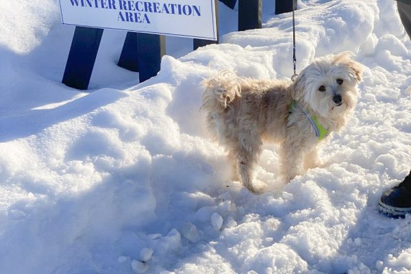 thumbnail_ima3ge2 (1) thumbnail_ima3ge2 (1)